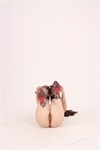 Thumnail / 1 / 30 / 36